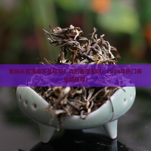 老韩头普洱茶怎么样啊