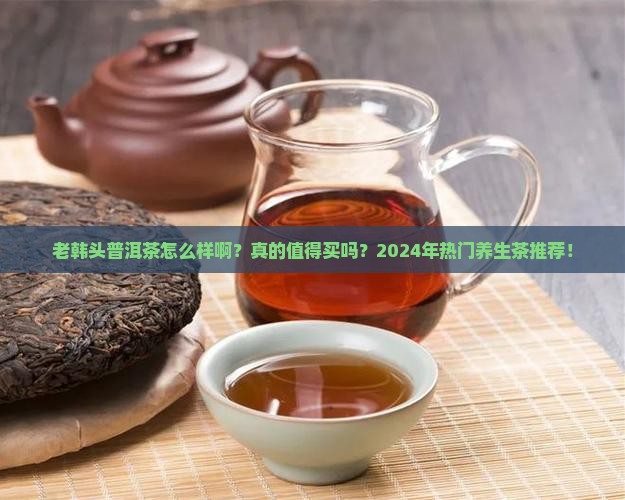 老韩头普洱茶怎么样啊
