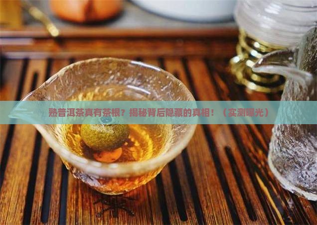 熟普洱茶有茶根