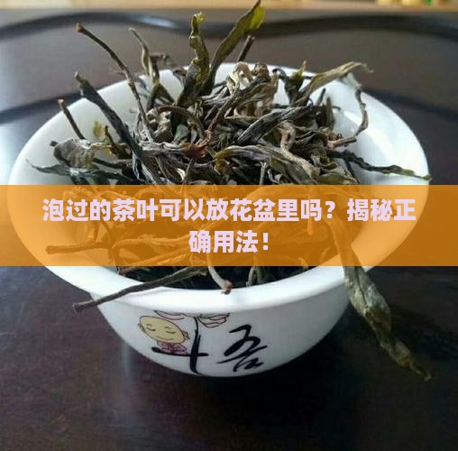 泡过的茶叶可以放花盆里吗
