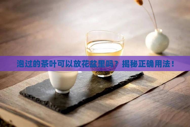 泡过的茶叶可以放花盆里吗