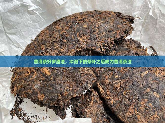 普洱茶有好多渣渣