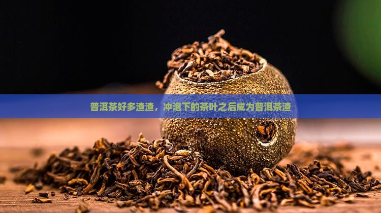 普洱茶有好多渣渣