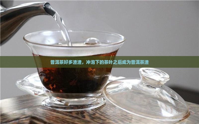 普洱茶有好多渣渣