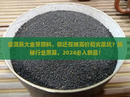 普洱茶大金芽原料