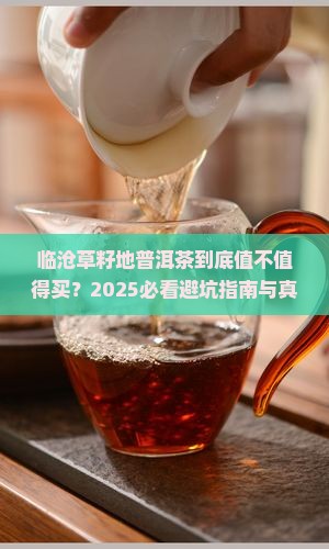 临沧草籽地普洱茶