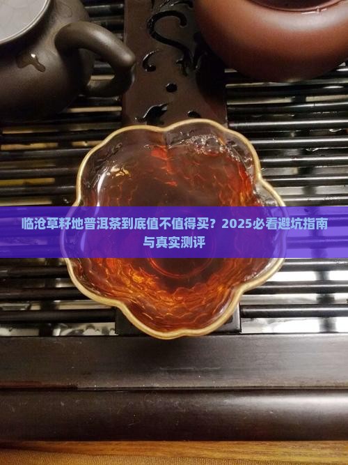 临沧草籽地普洱茶