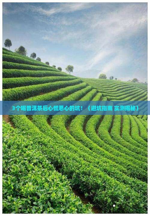 喝普洱茶心慌恶心