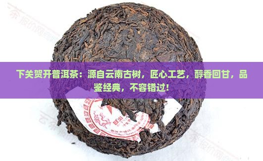 下关贺开普洱茶