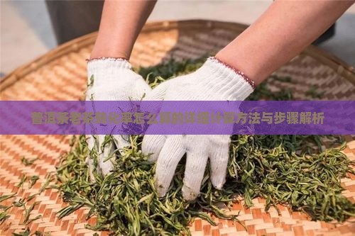 普洱茶老茶转化率怎么算