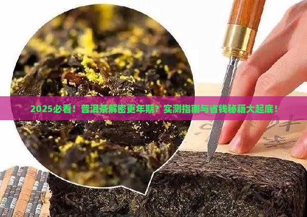 普洱茶能调节更年期吗