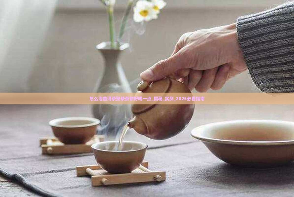 怎么泡普洱茶熟茶茶饼好喝一点