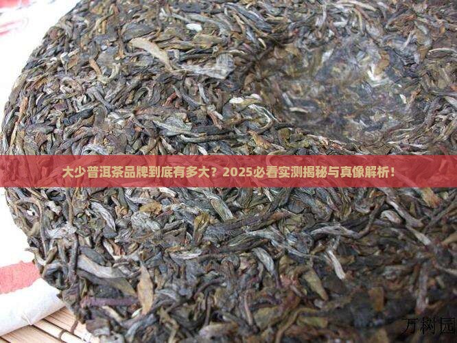 大少普洱茶的品牌有多大