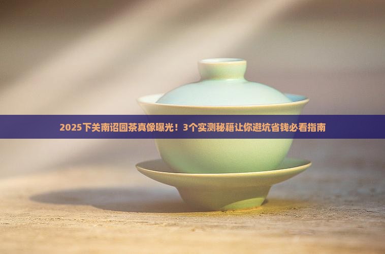 下关南诏园茶怎么样