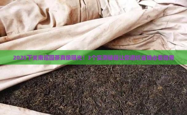 下关南诏园茶怎么样