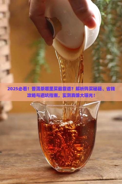 哪儿能买到普洱茶