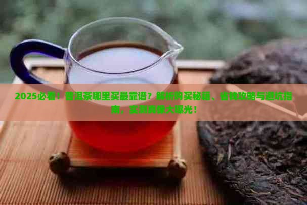 哪儿能买到普洱茶