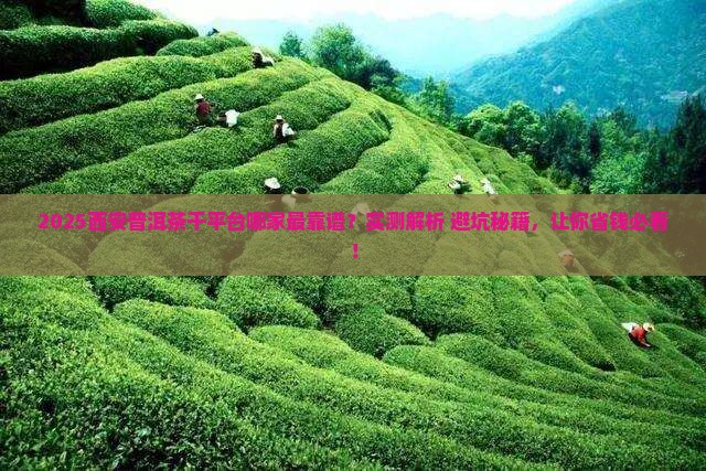 西安普洱茶干平台哪家专业