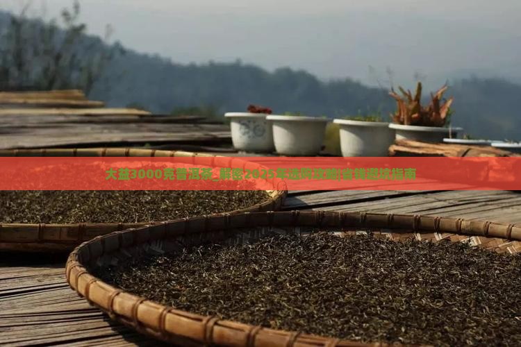 大益3000克普洱茶