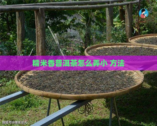 糯米香普洱茶怎么弄小