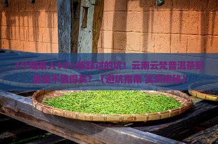 云南云梵普洱茶