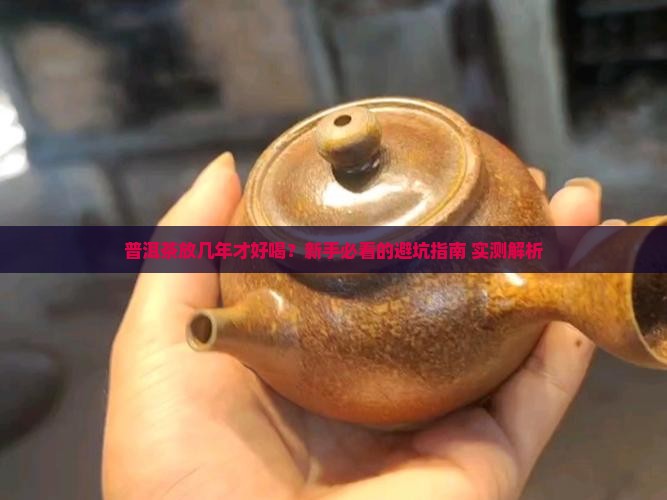 普洱茶放几年才可以喝