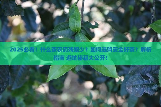 什么茶农药残留少