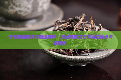 普洱茶发酵速成