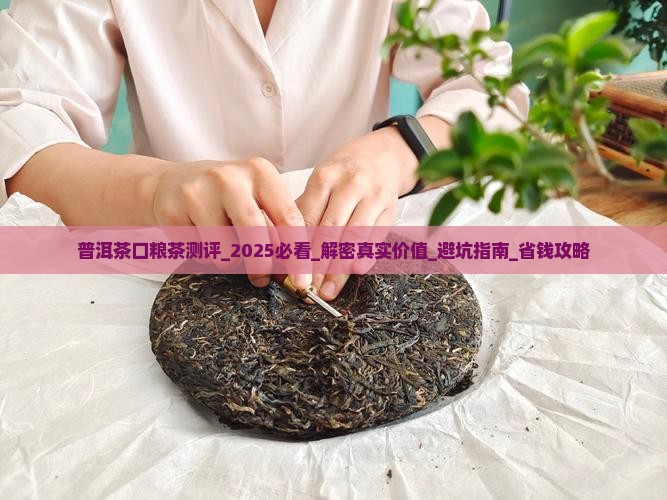 普洱茶口粮茶测评