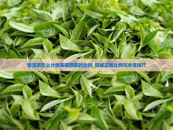 普洱茶怎么分生茶和熟茶的比例