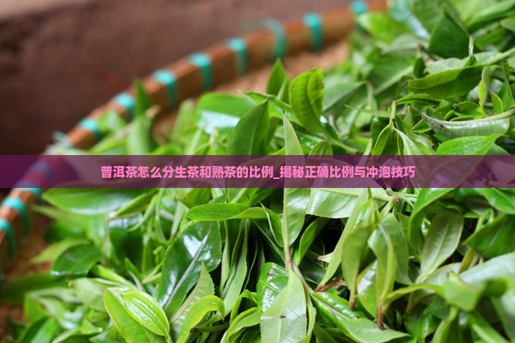 普洱茶怎么分生茶和熟茶的比例