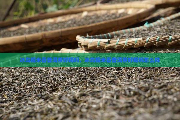 冰岛糯米香普洱茶好喝吗