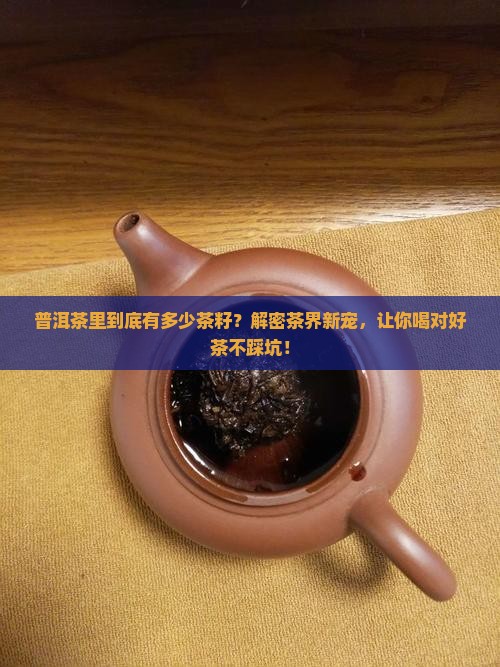 普洱茶里有多少茶籽