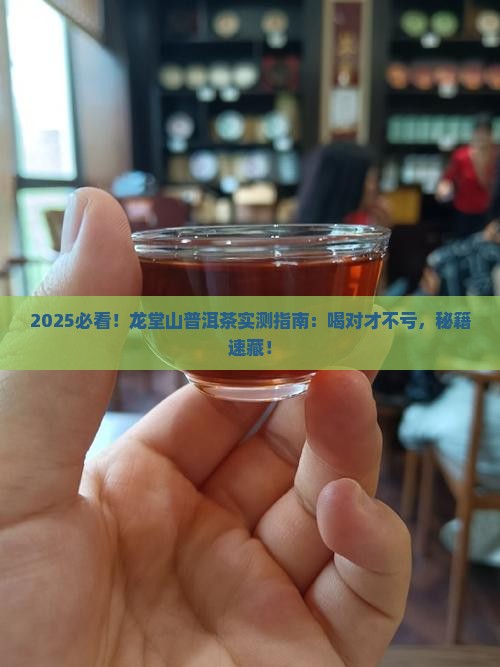 龙堂山普洱茶怎么样喝