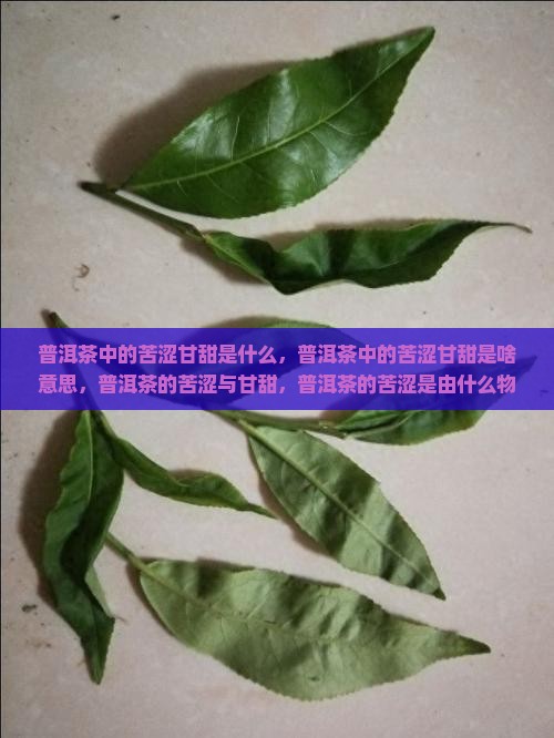 普洱茶中的苦涩甘甜