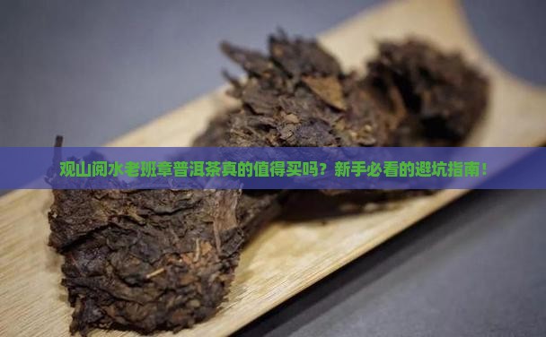 观山阅水老班章普洱茶
