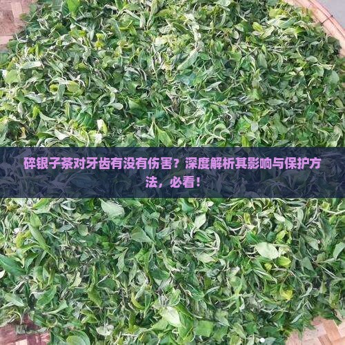 碎银子茶对牙齿有没有伤害