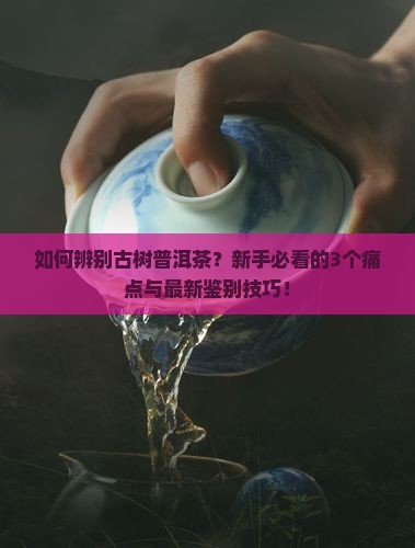 辨别古树普洱茶