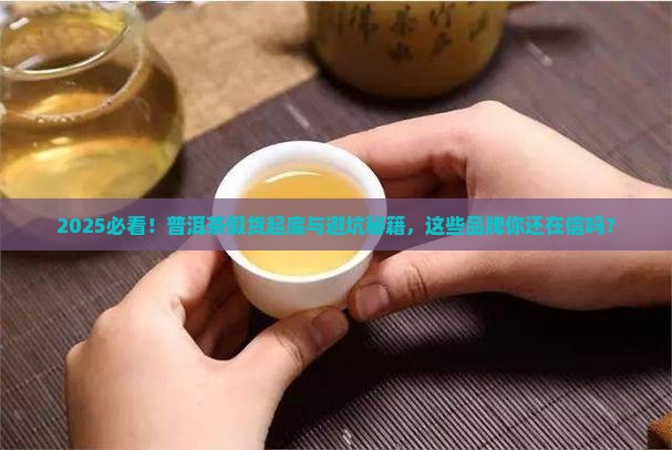 普洱茶假货排名前十名品牌