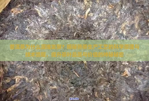 普洱茶为什么要渥堆发酵