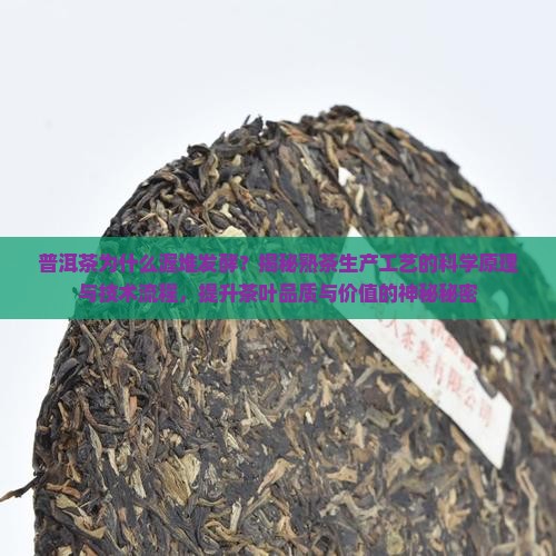 普洱茶为什么要渥堆发酵