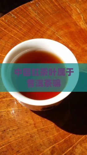 中国红茶叶属于普洱茶嘛
