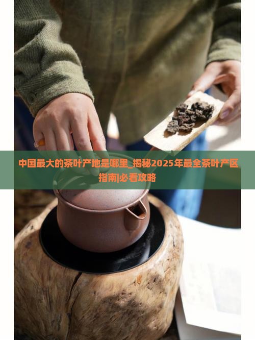 中国最大的茶叶产地是哪里