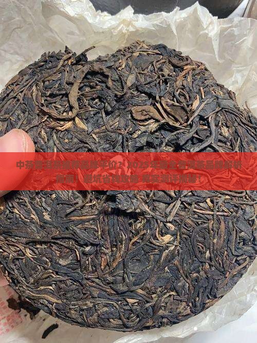 中茶普洱茶推荐品牌平价