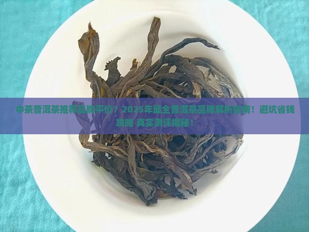 中茶普洱茶推荐品牌平价
