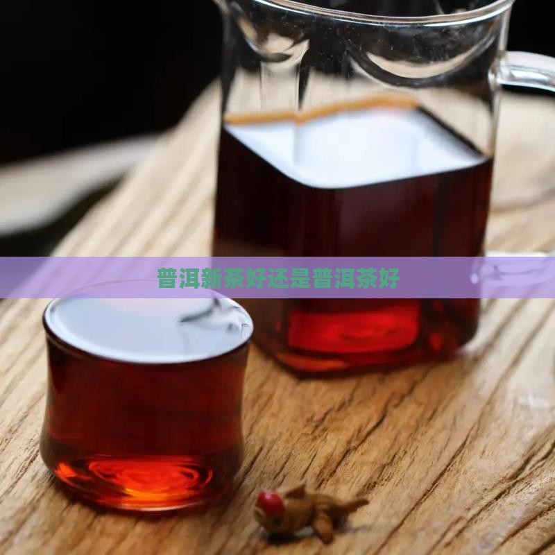 普洱应该新茶好还是老茶好