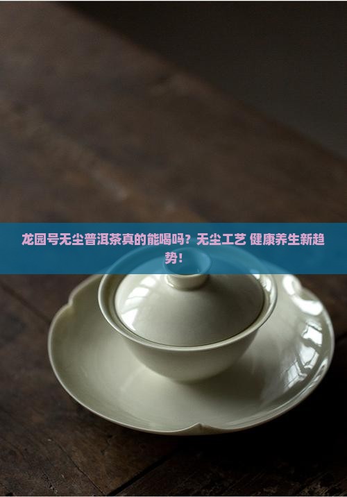 龙园号无尘普洱茶