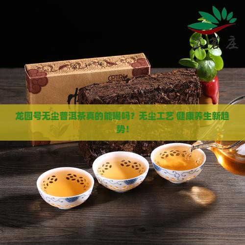 龙园号无尘普洱茶