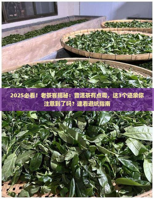 普洱茶啊有一点霉