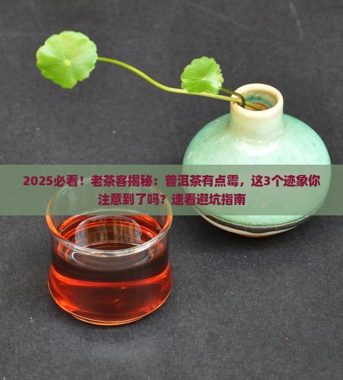 普洱茶啊有一点霉